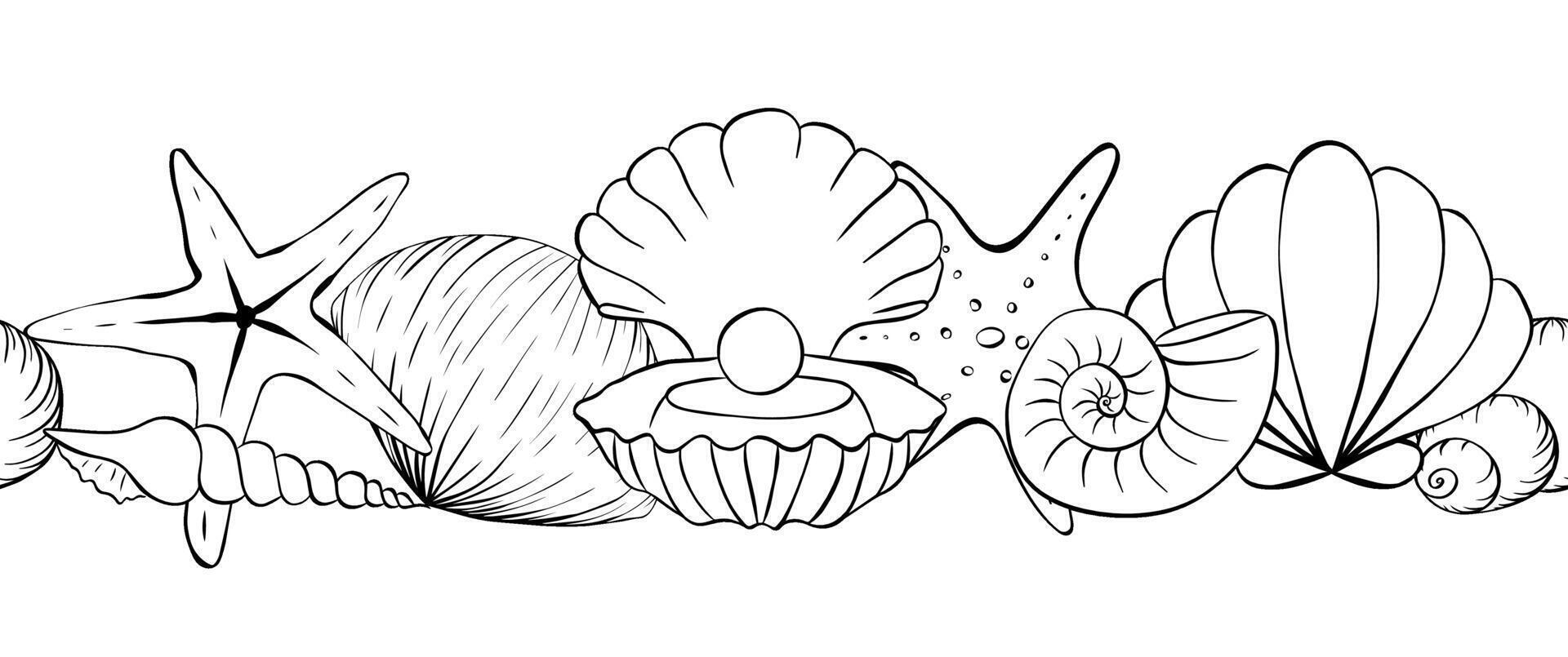 Sea shell close up seamless horizontal border. graphic line ink pattern, summer background, great for textiles, banners, wallpapers. for banners, print for fabric, labels, t-shirt printing. vector