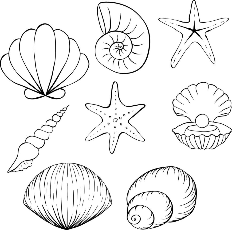 Seashells Illustration set. graphic line ink icon isolated. Banner, poster, wrapping paper, sticker, print, modern textile design. Coloring Sheet for Stress Relief and Relaxation vector