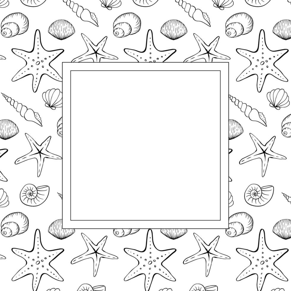 Seashell and starfish square frame template for text. graphic line ink illustration. Marine illustration of the underwater world hand drawn in black ink graphically. vector