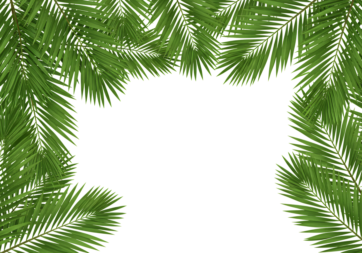 Tropical palm leaf frame on transparent background, perfect for summer-themed designs, invitations, or natural eco-friendly presentations. png