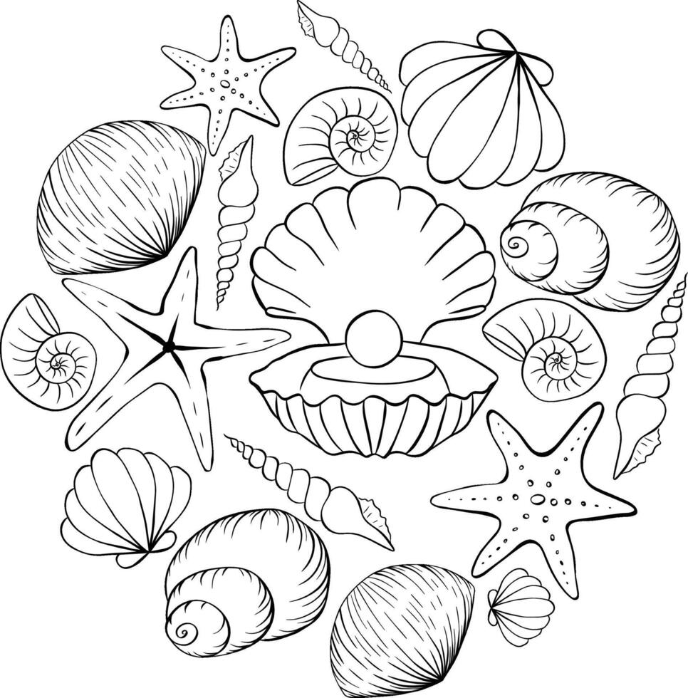 Sea shells scallops and stars circle round composition for logo. poster template in doodle sketchy style. Banner, poster, wrapping paper, sticker, print, modern textile design. vector