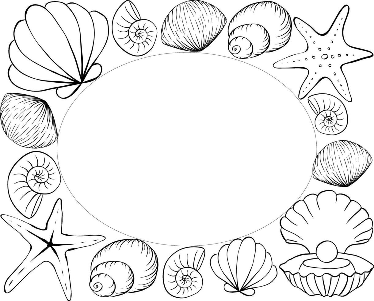 Seashells, starfish Oval rectangle frame template for text. graphic line ink illustration. Marine creatures and shells form a square frame. for package, cosmetic, textile, cards. vector