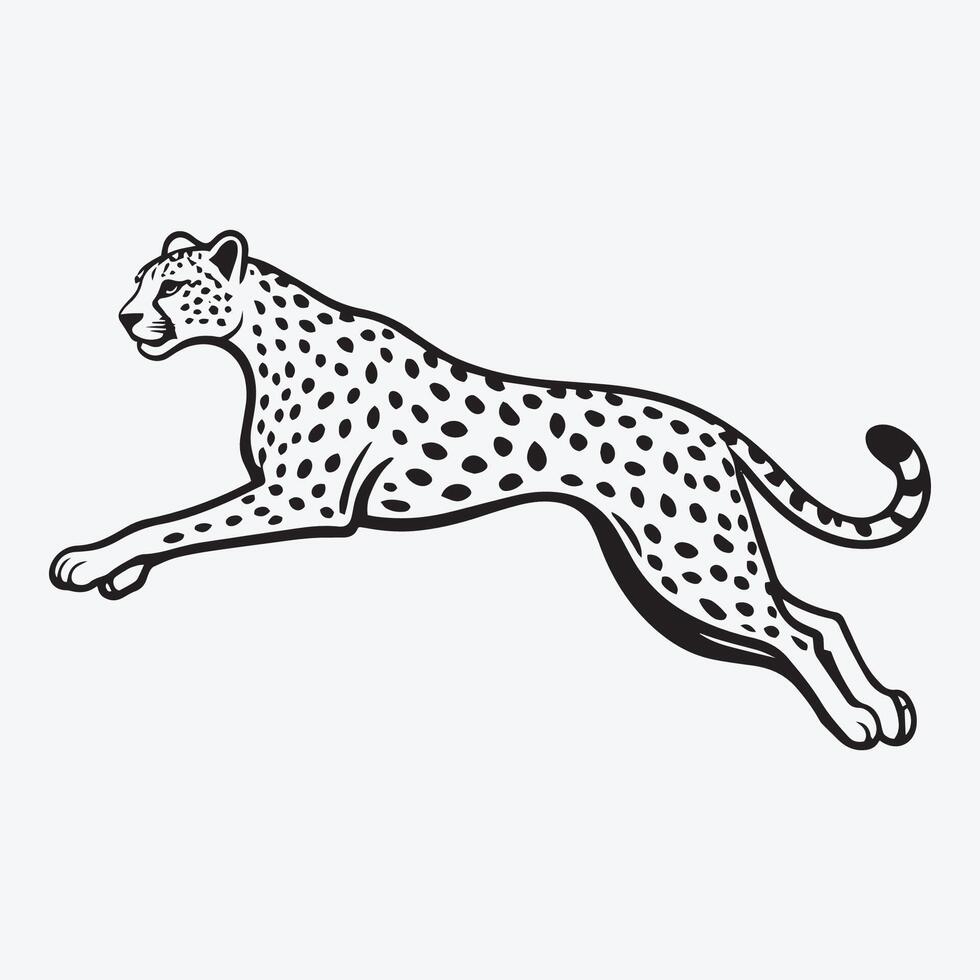 Cheetah in Motion A Running Cheetah Silhouette vector