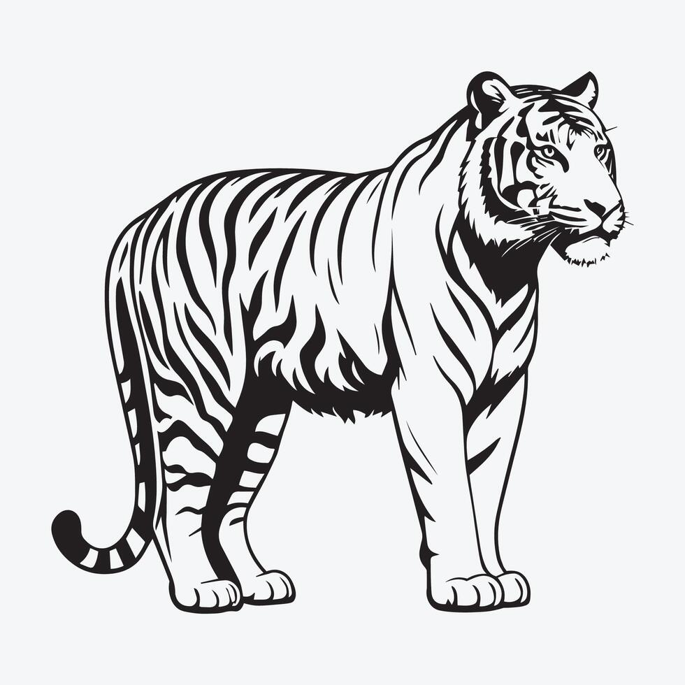 a black and white drawing of a tiger vector