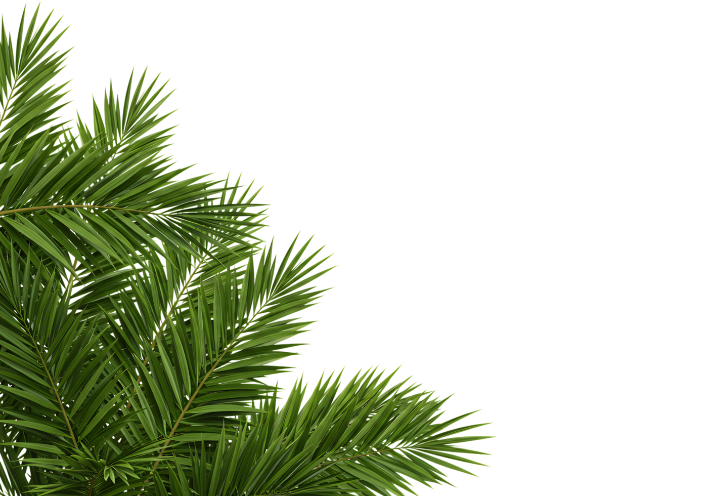 Tropical green palm leaves in the corner on a transparent background. Perfect for summer themes, vacation ads, or nature-based graphic designs. png