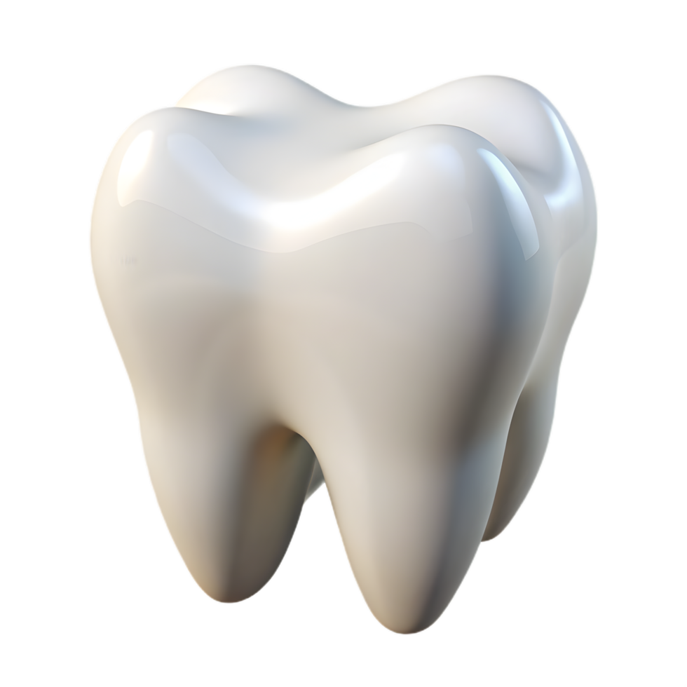 Hyper-Realistic 3D Tooth Model , Detailed Dental Anatomy with Smooth White Enamel png