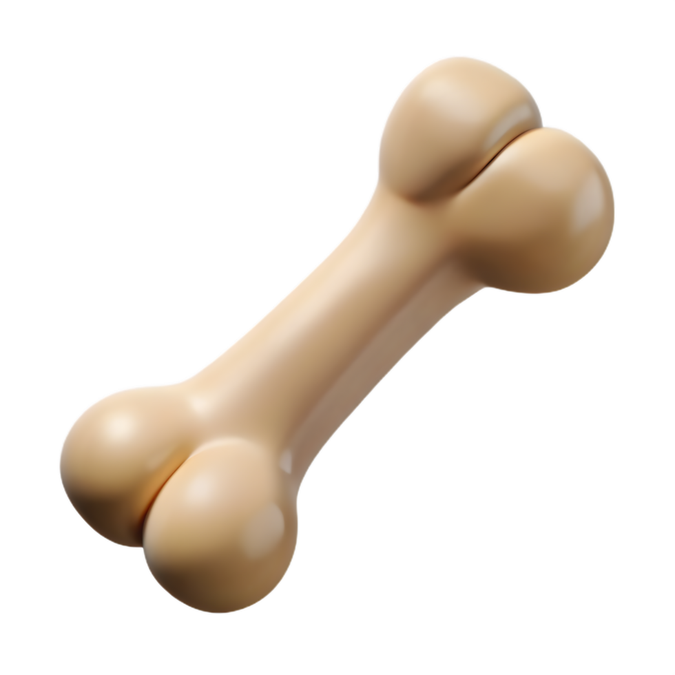 3d Dog Bone Icon , Anatomical Ivory Smooth Model png
