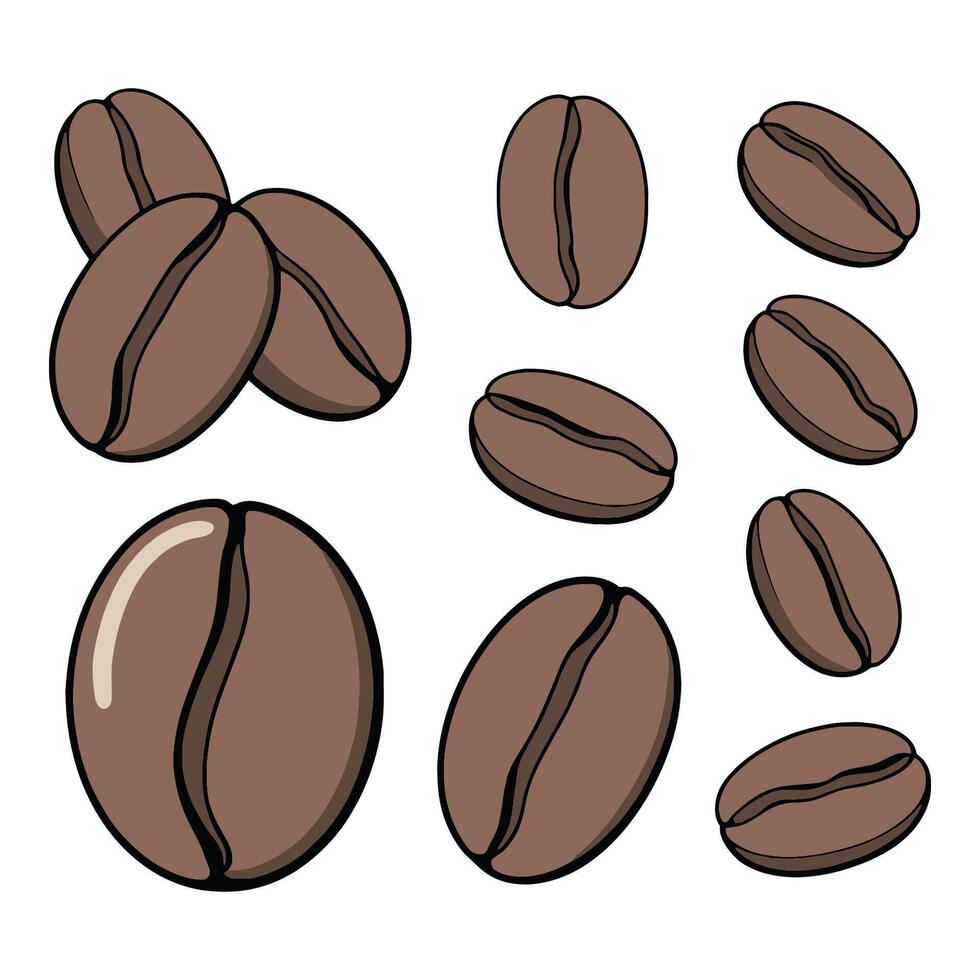 Collection of coffee beans in different positions vector