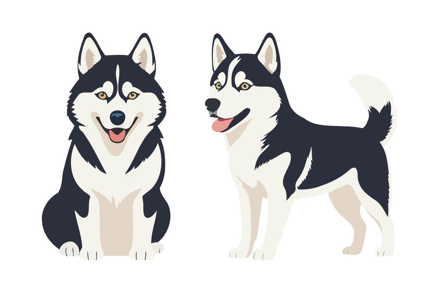 Two adorable Siberian huskies posing vector