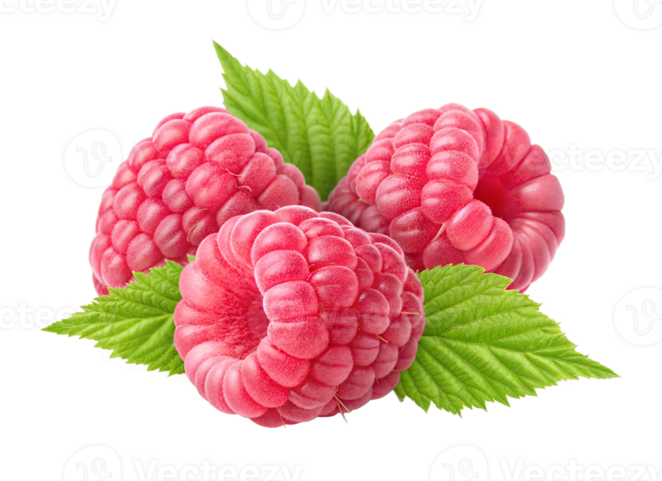 Deep red raspberries with green mint leaf arranged in a fresh colorful closeup food composition png