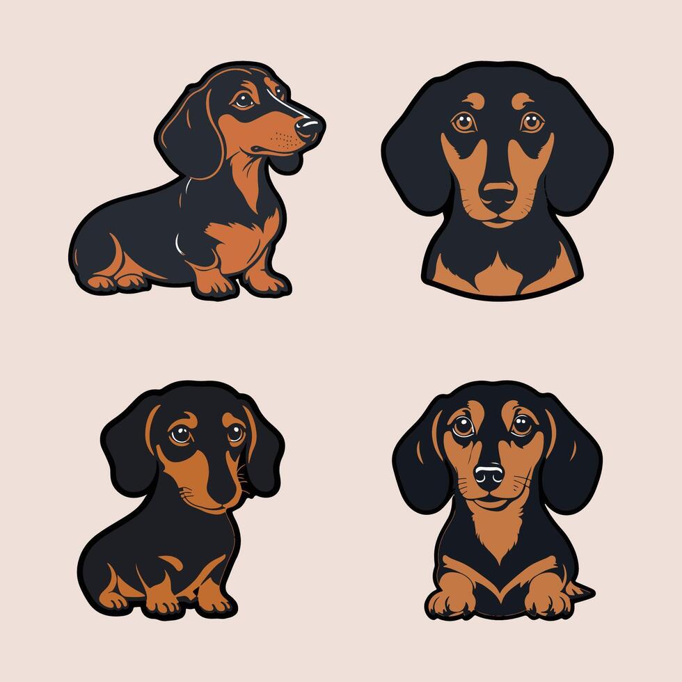 Dachshund dog illustration collection vector