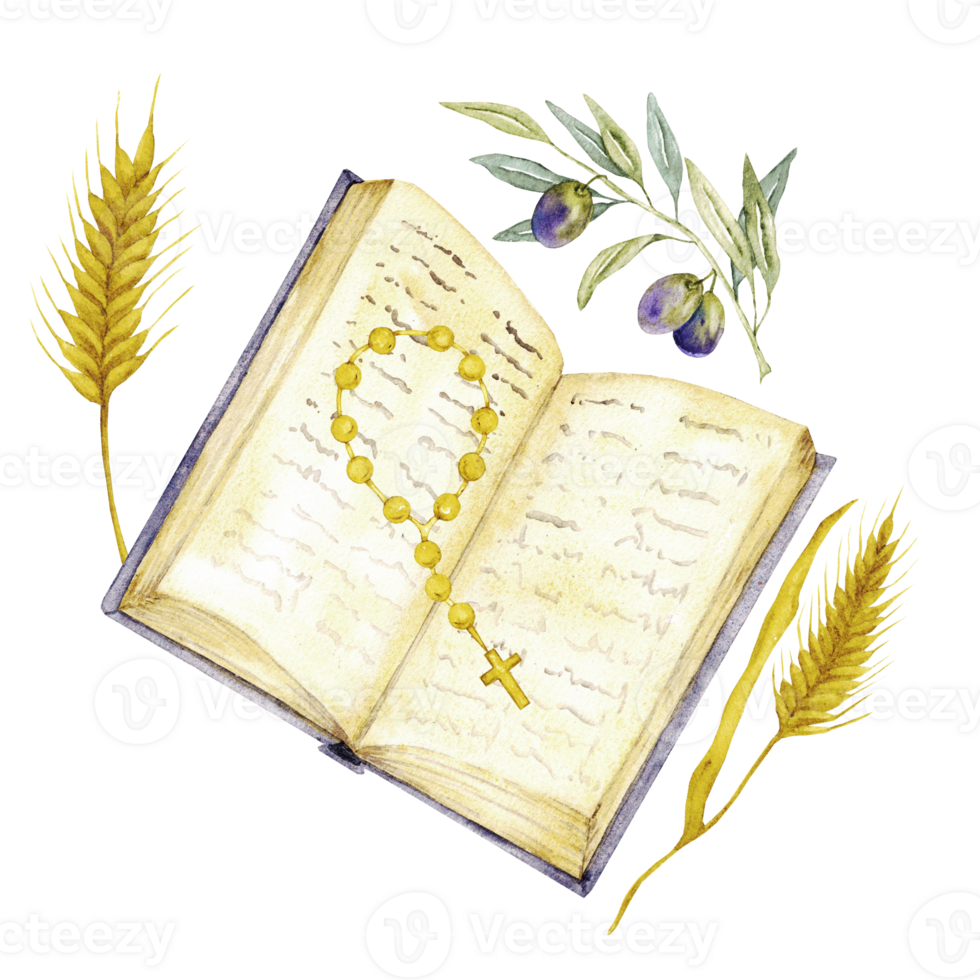 Open Bible, rosary, olive branch and ears of wheat. Watercolor composition for first communion, baptism, wedding greeting cards, invitation. Save the date, anniversary. Hand drawn. Isolated png