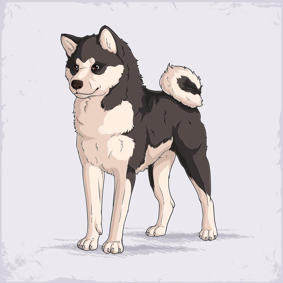 Hand drawn hunting dog breed black Shiba inu standing, cute Japanese small size, alert and agile black and tan dog for mountains and hiking trails vector