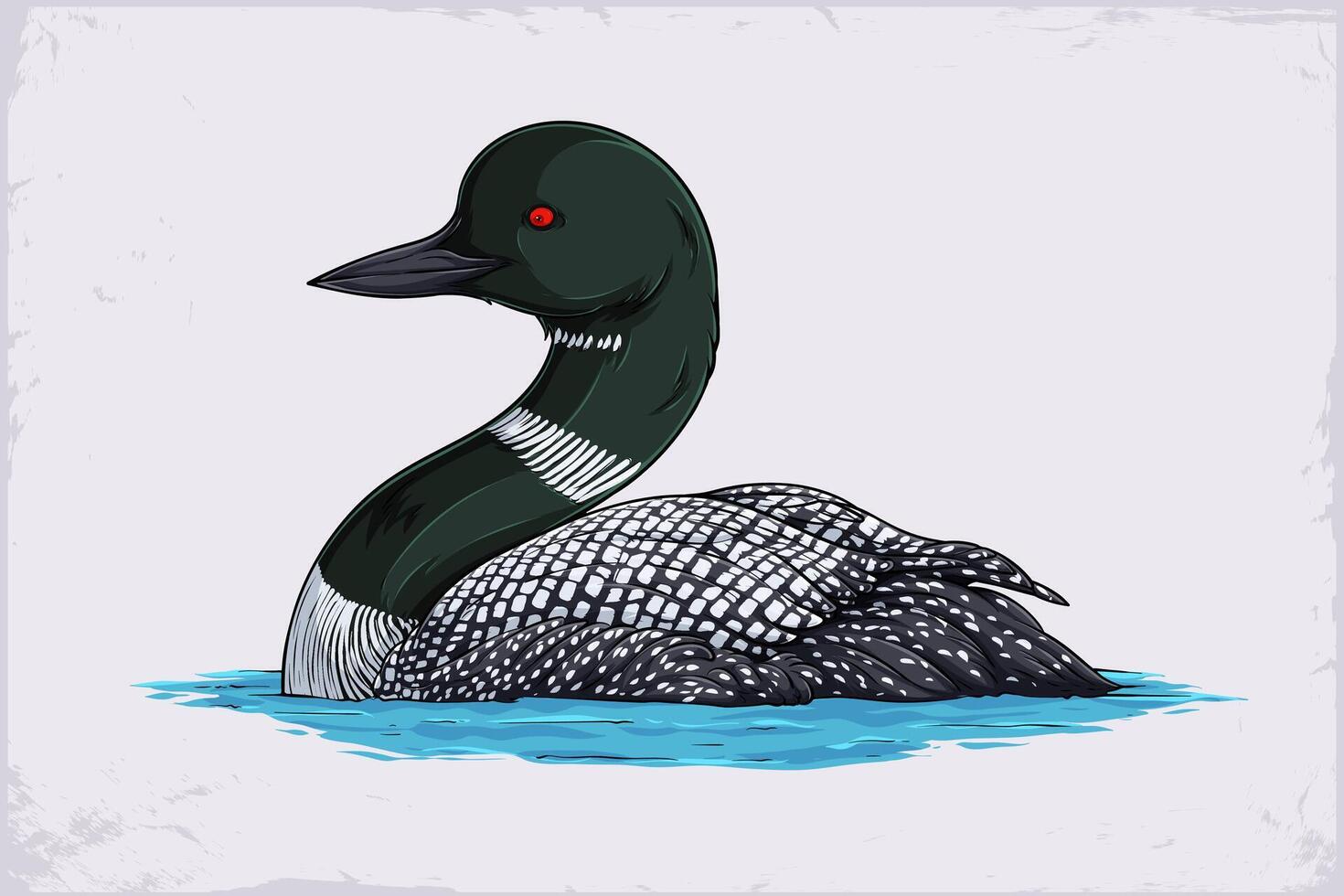 Hand drawn cute big duck red eyed loon swimming in water, common diver bird floating on a lake water isolated on white background vector
