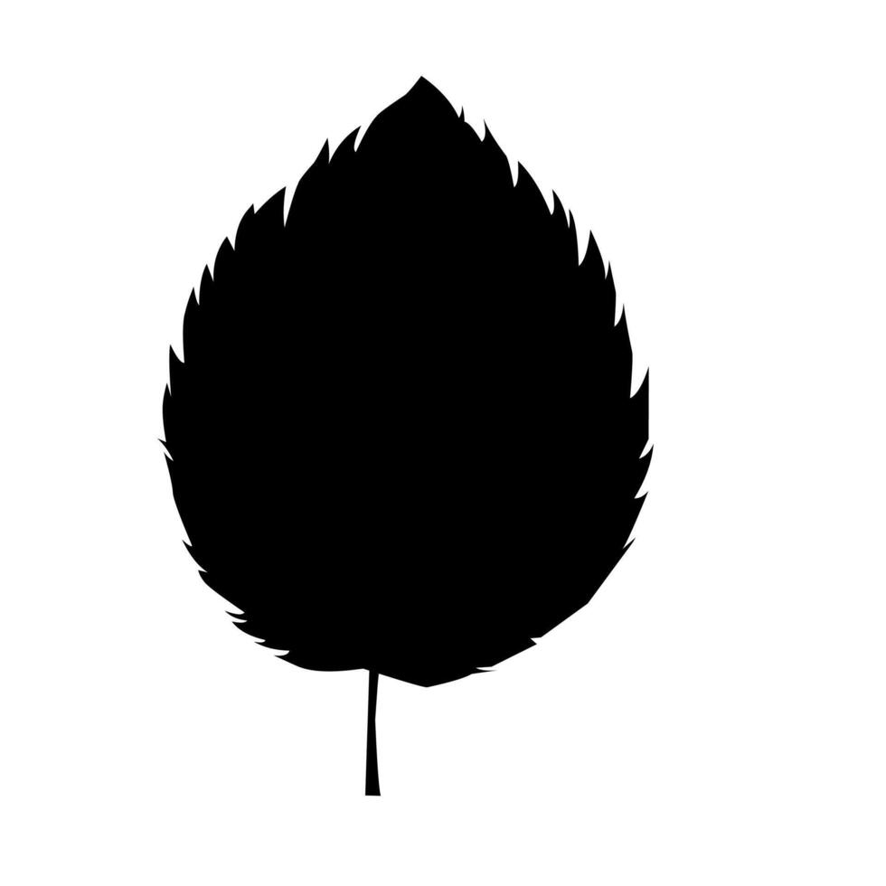 black and white illustration of a leaf vector