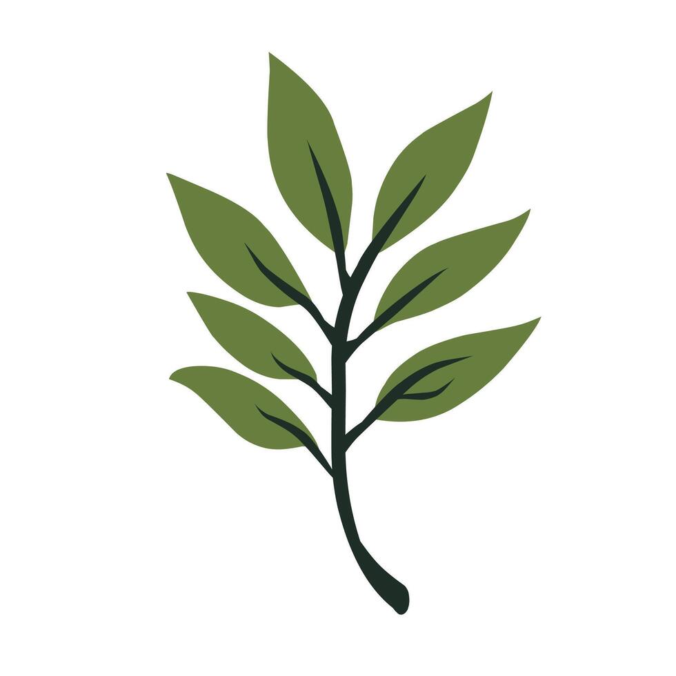 Leaf fresh illustration vector