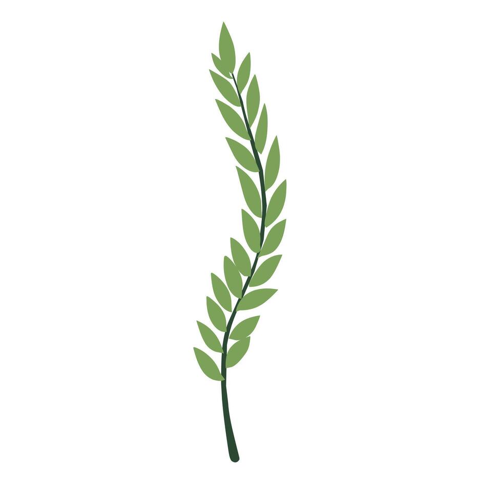 Fresh leaf design element vector