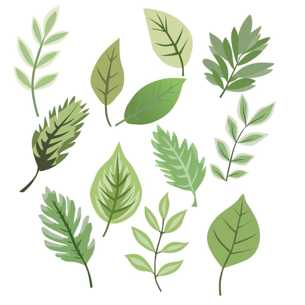 Beautiful Green Leaf Design set vector