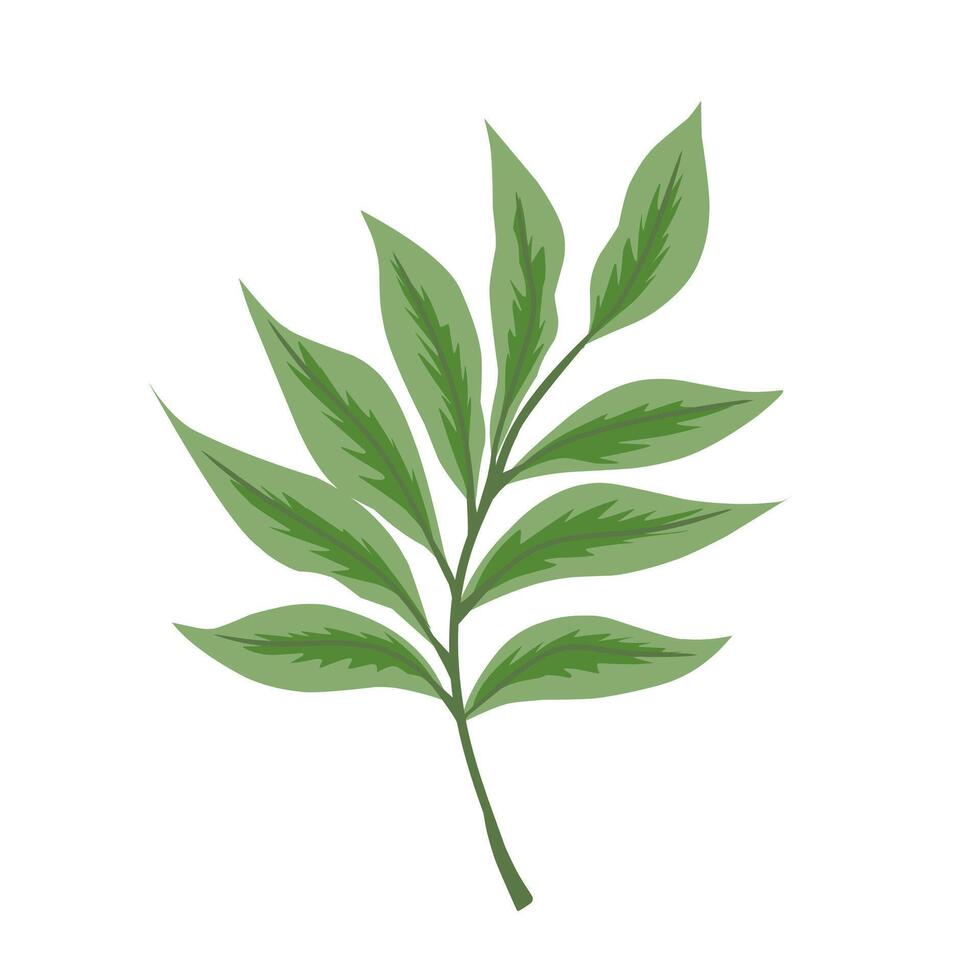 Simple green leaf illustration vector