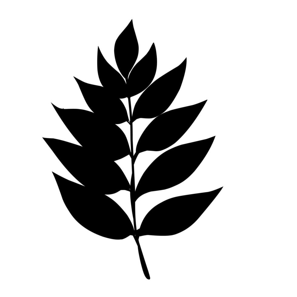 Beautiful leaf in silhouette design vector