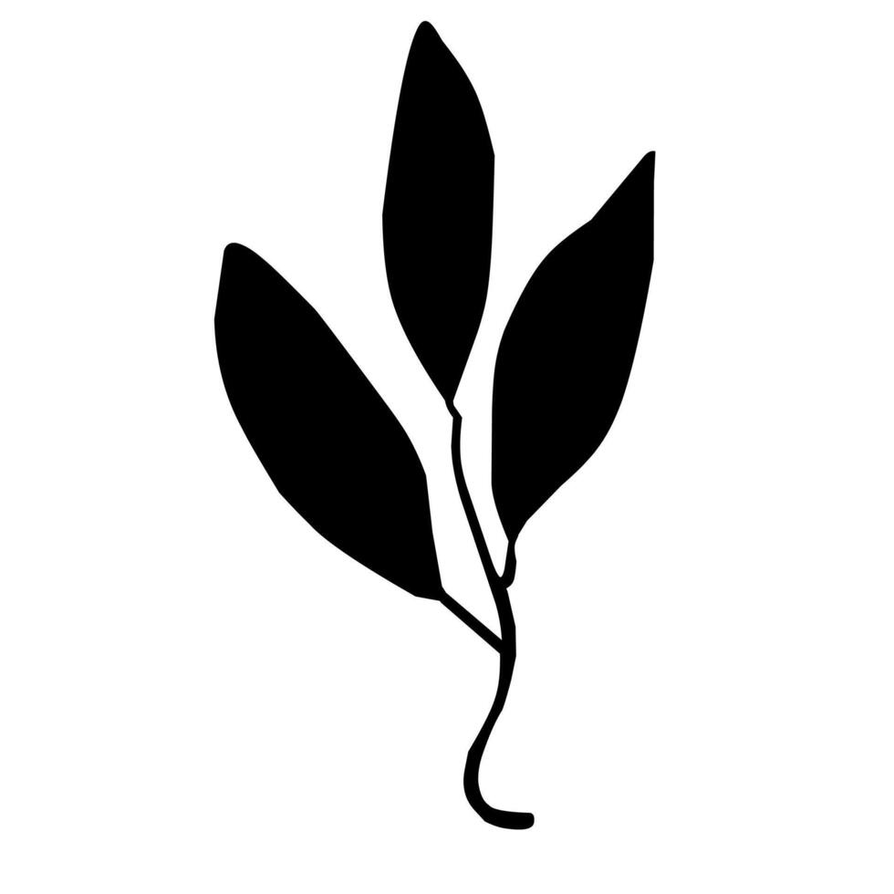 Simple silhouette of leaf illustration vector