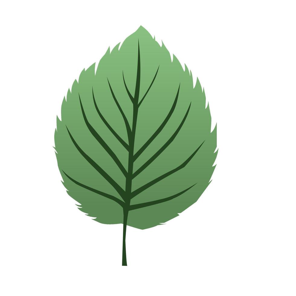 Simple leaf illustration vector