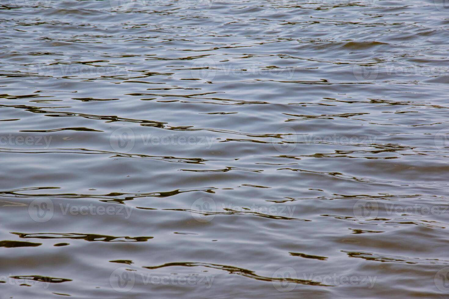 Background of Dnieper River water surface with ripples. Natural color of river water. photo