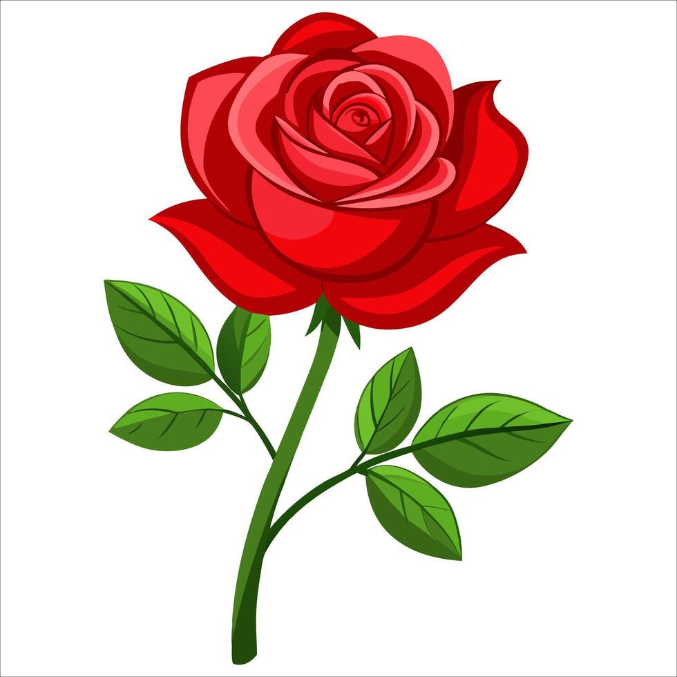 Red rose with green leaves illustration vector