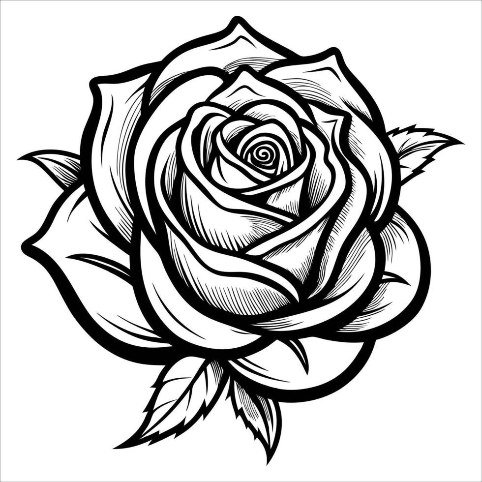 A black and white drawing of a rose vector