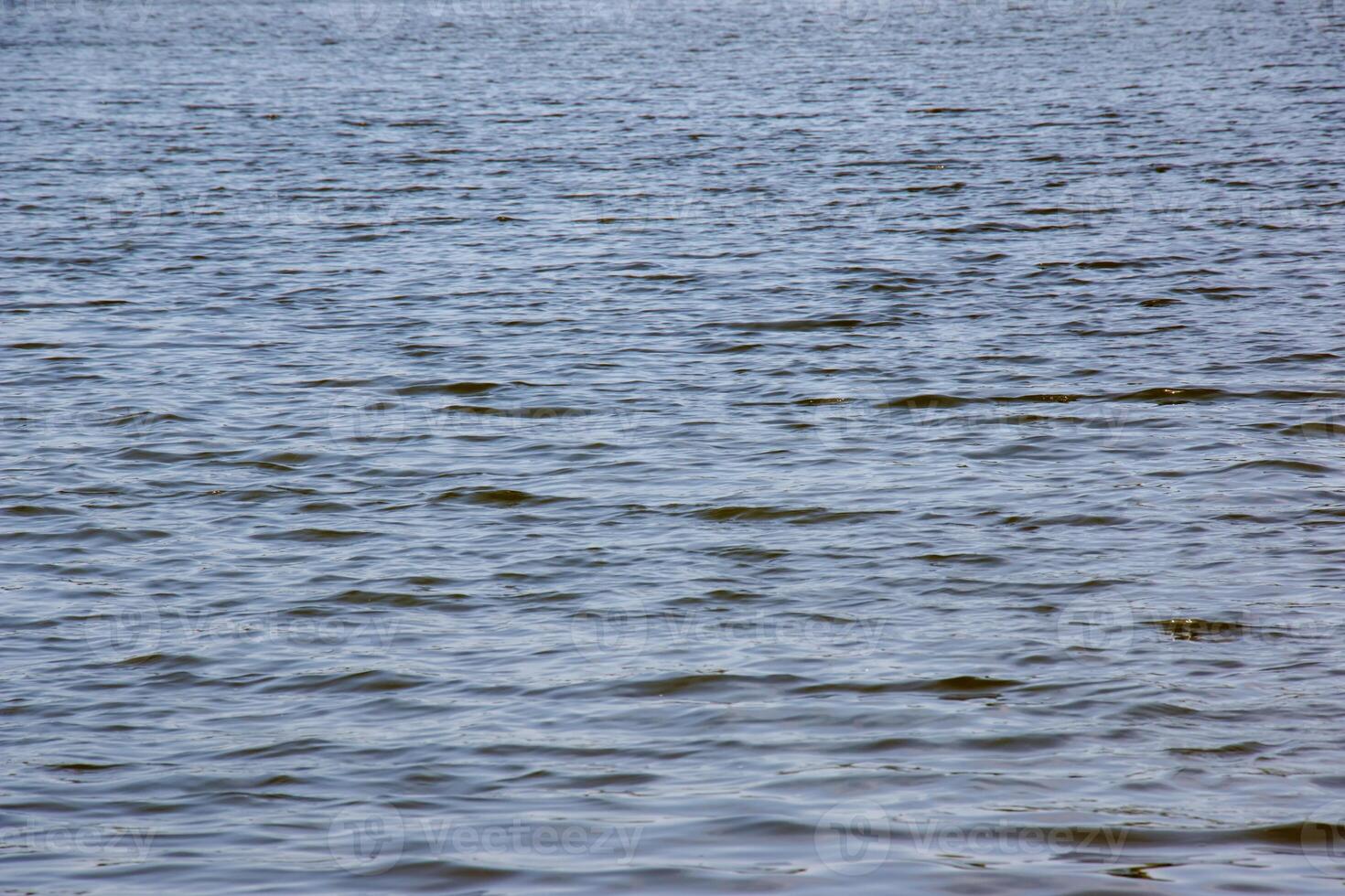 Background of the Dnieper River water surface with ripples. Natural color of river water. Water with small waves. photo