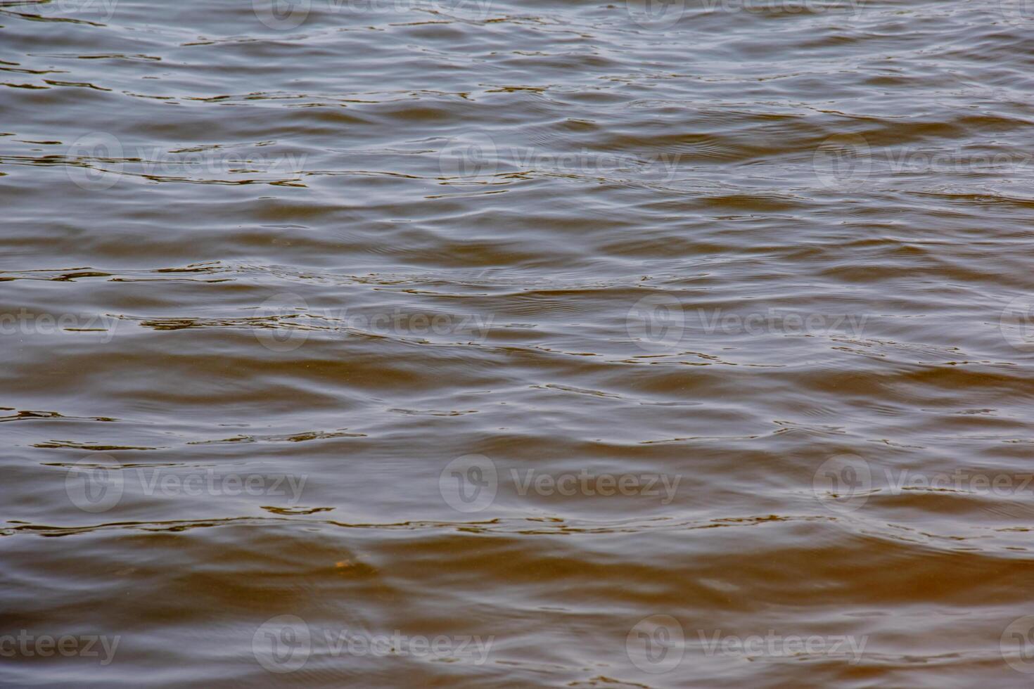 Background of Dnieper River water surface with ripples. River water in autumn in the rays of the setting sun. Natural color of river water. Water with small waves photo