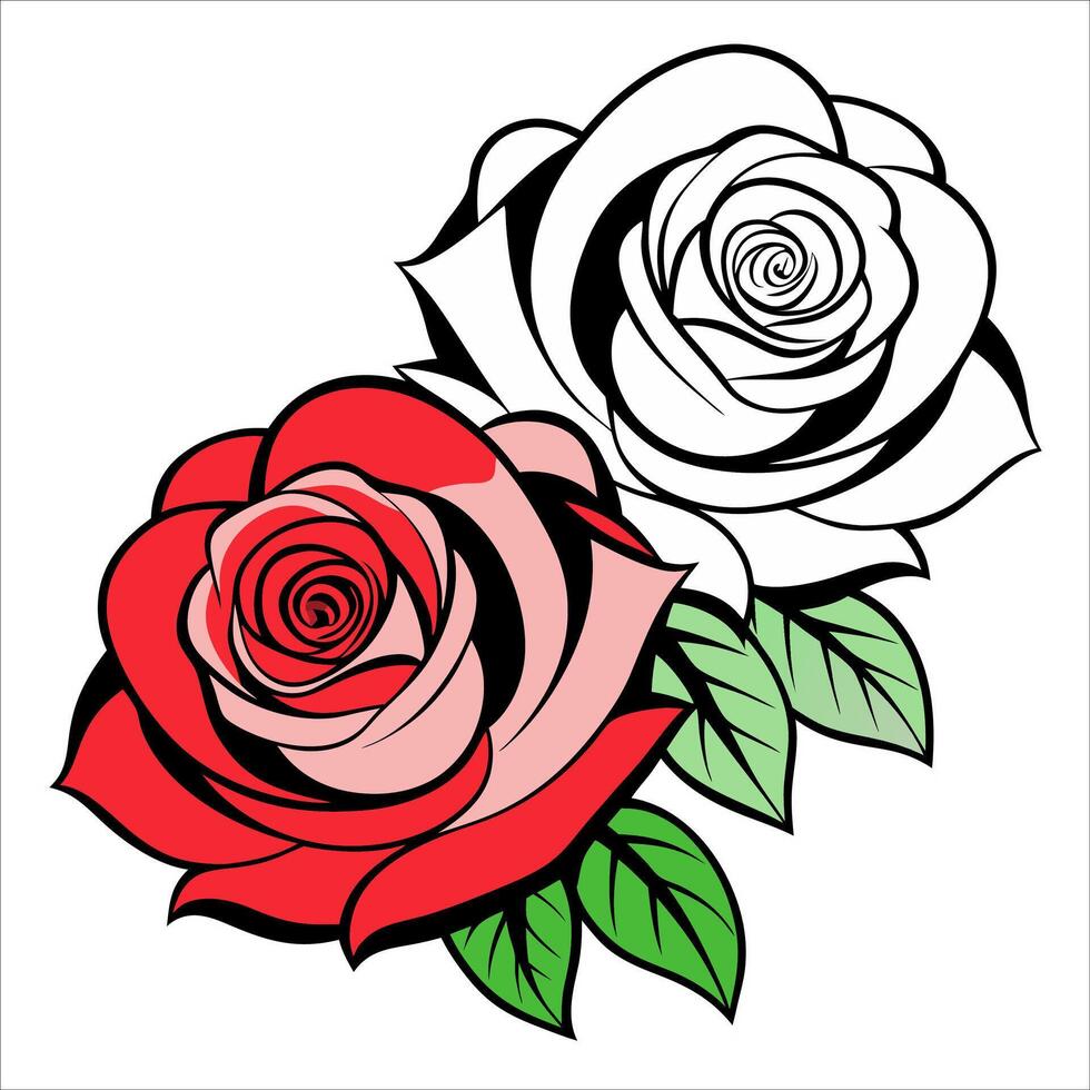 Two roses with leaves on a white background vector