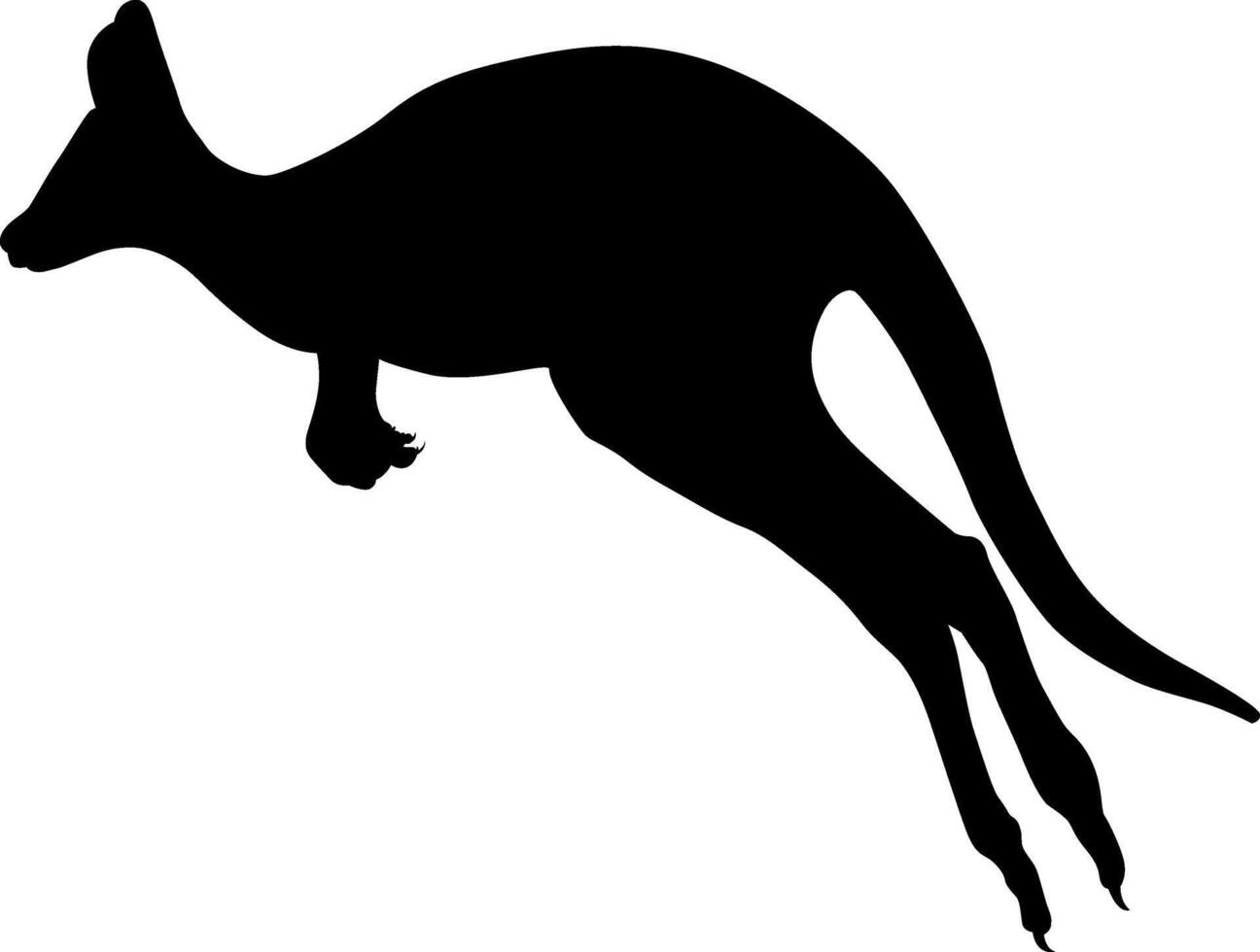 Jumping Kangaroo Silhouette on White vector