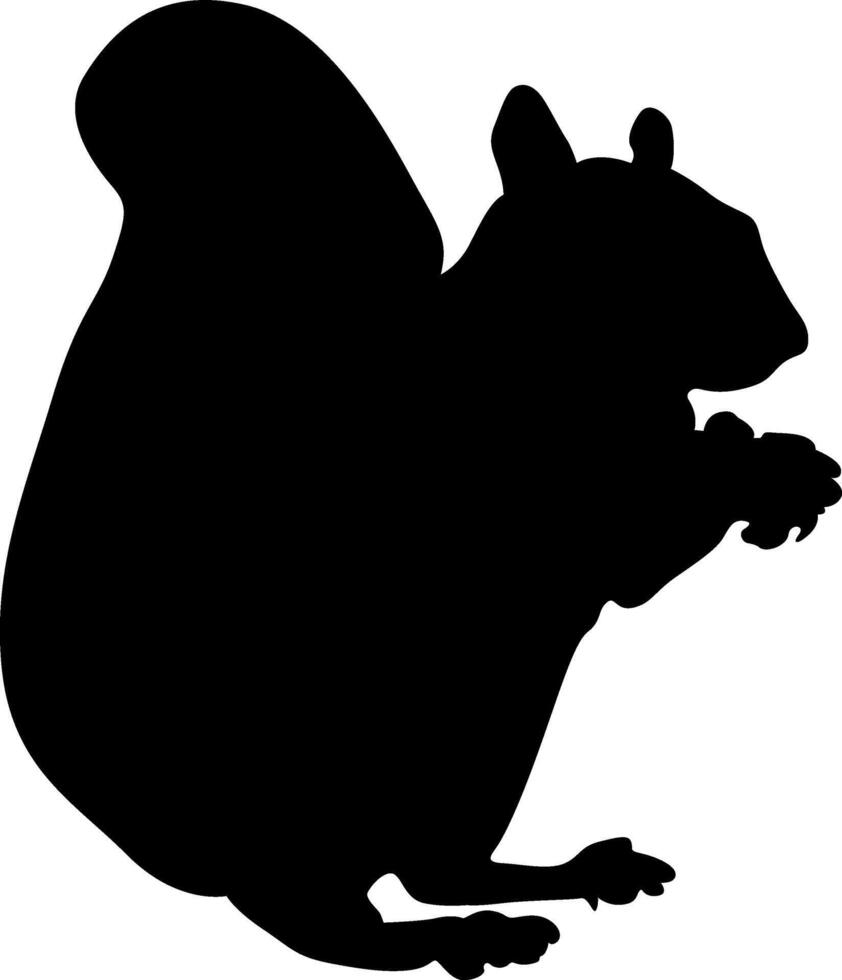 Black Silhouette of a Squirrel vector