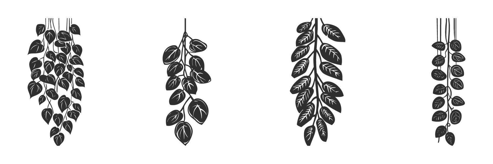 Hanging Plant Leaves Silhouette Set. Botanical Decor Elements For Interior Design And Nature Themes. Isolated Illustration Collection vector