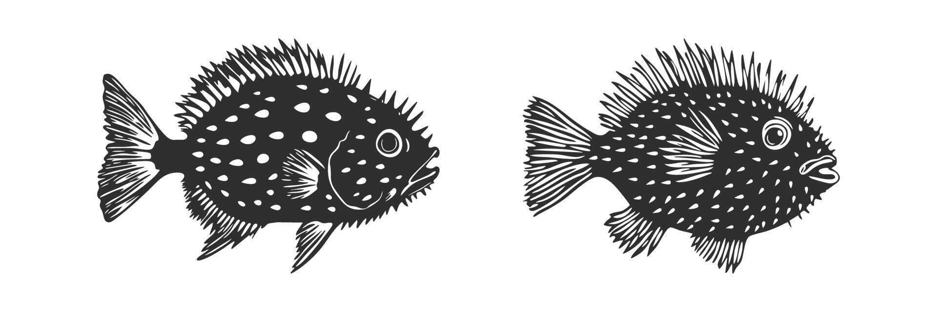 Silhouette Of Spotted Fish Species Set. Marine Life And Oceanic Wildlife Illustration Collection vector