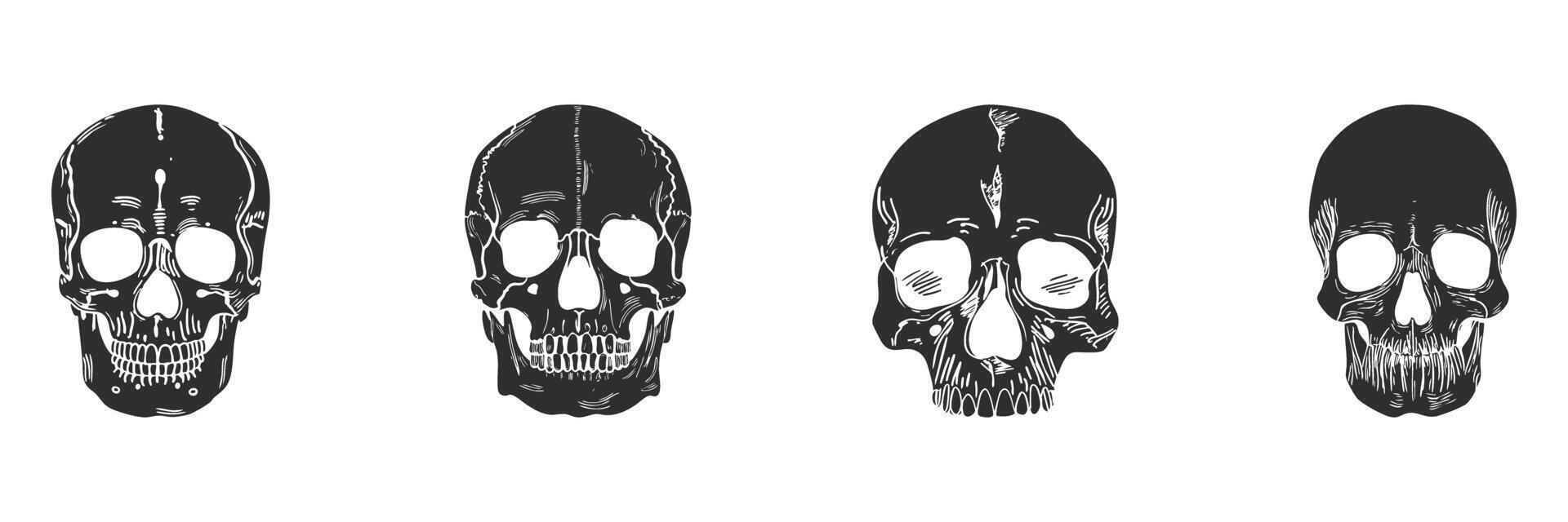 Skull Illustration Variations Silhouette Set. Artistic Skull Designs For Halloween, Anatomy, And Tattoo Art. Isolated Illustration Collection vector