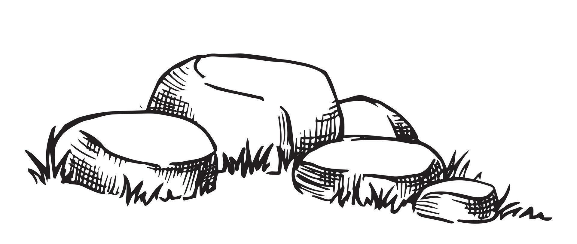 Architectural ink drawing. Top view of hand-drawn stone pavement with grass. vector