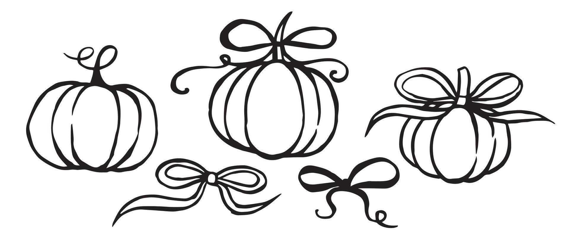 sketch illustration for thanksgiving day. set of pumpkins with bows vintage vector