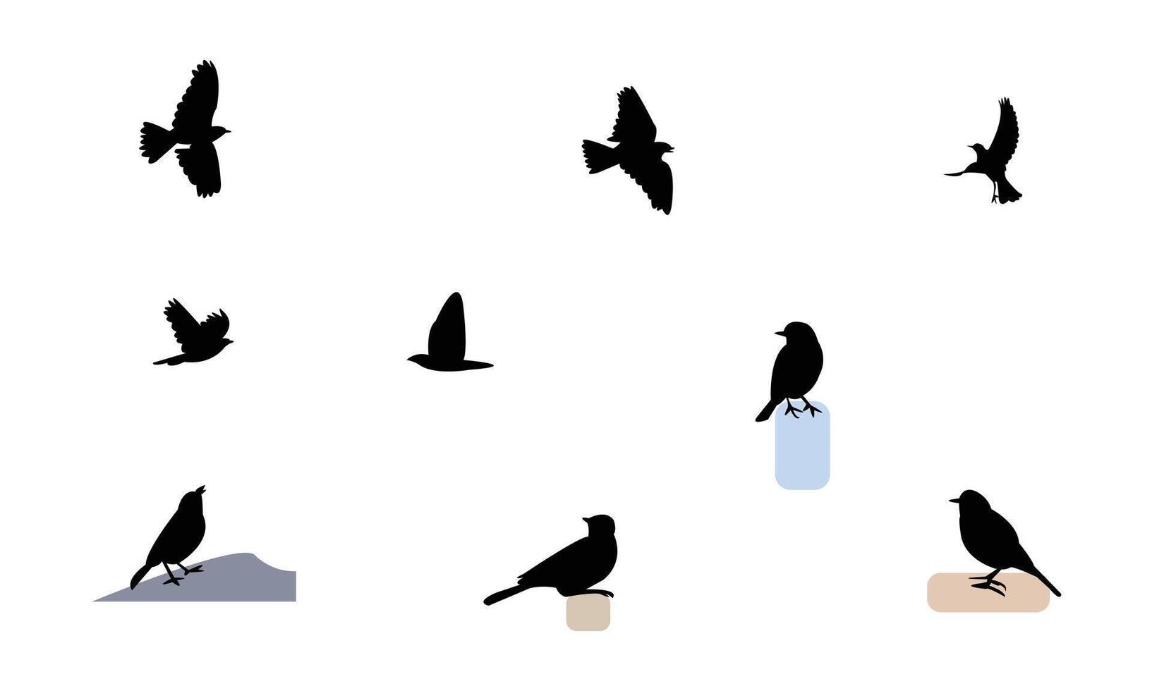 African rock pipit bird Silhouette Collection vector