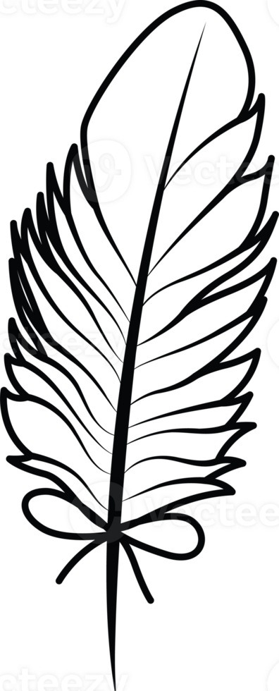 Stylized Boho Feather with Bold Contour png
