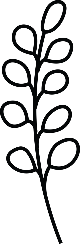 Leafy Botanical Stem with Round Foliage png