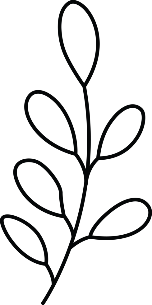 Minimal Botanical Leaf Branch Line Drawing png