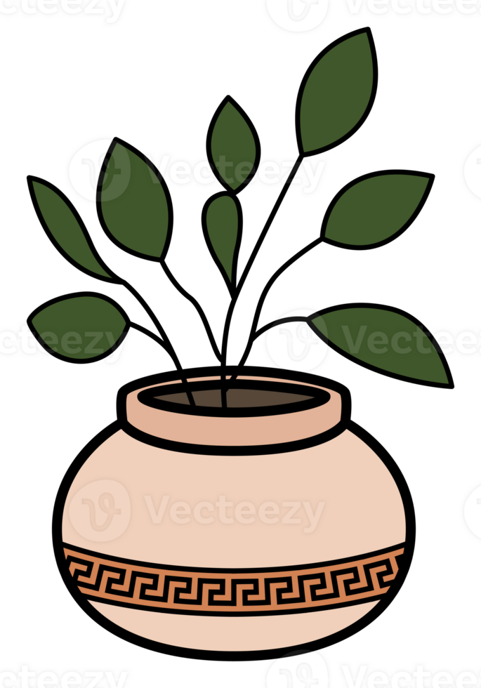 Potted plant with green leaves in a round terracotta vase with decorative Greek-style pattern. Perfect for home decor, boho, or botanical themes. png