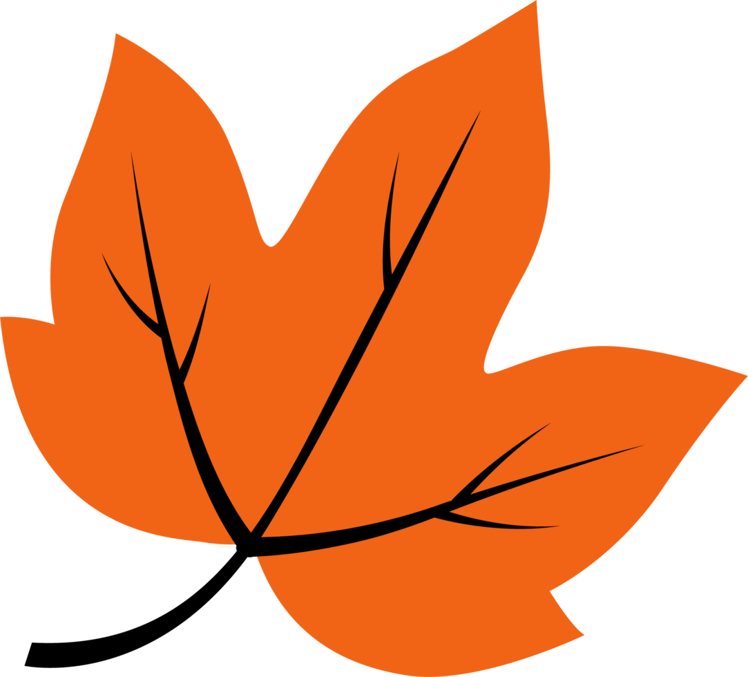 Minimal illustration of an orange autumn leaf with bold black lines. Great for seasonal designs, decorations, or fall-themed creative projects. png