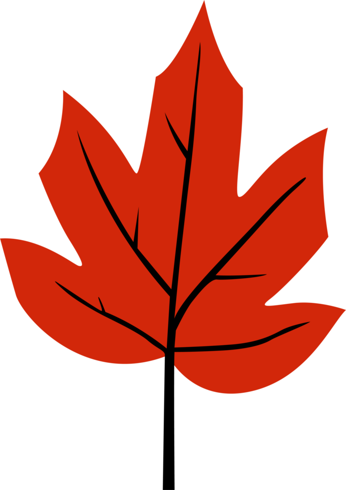 Bright red autumn leaf with bold black veins, simple and minimal style. Perfect for seasonal, nature, fall, botanical, or decorative projects. png