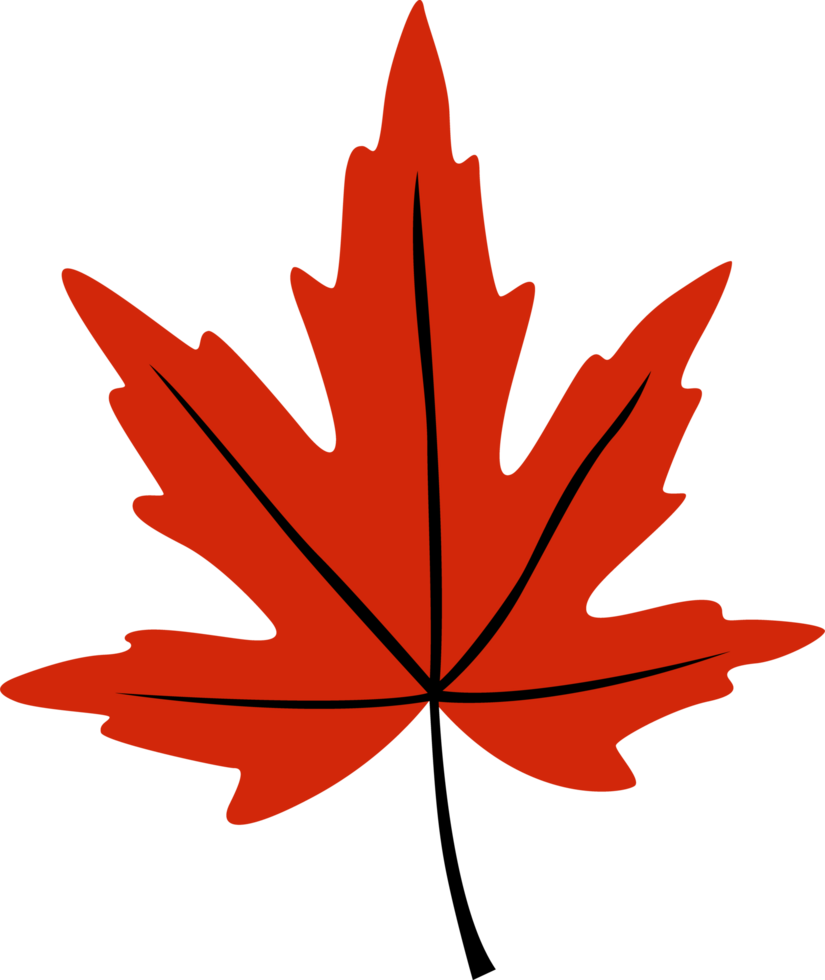 Simple red maple leaf with bold black veins, minimal and clean style. Ideal for autumn, seasonal, botanical, or nature-themed projects. png