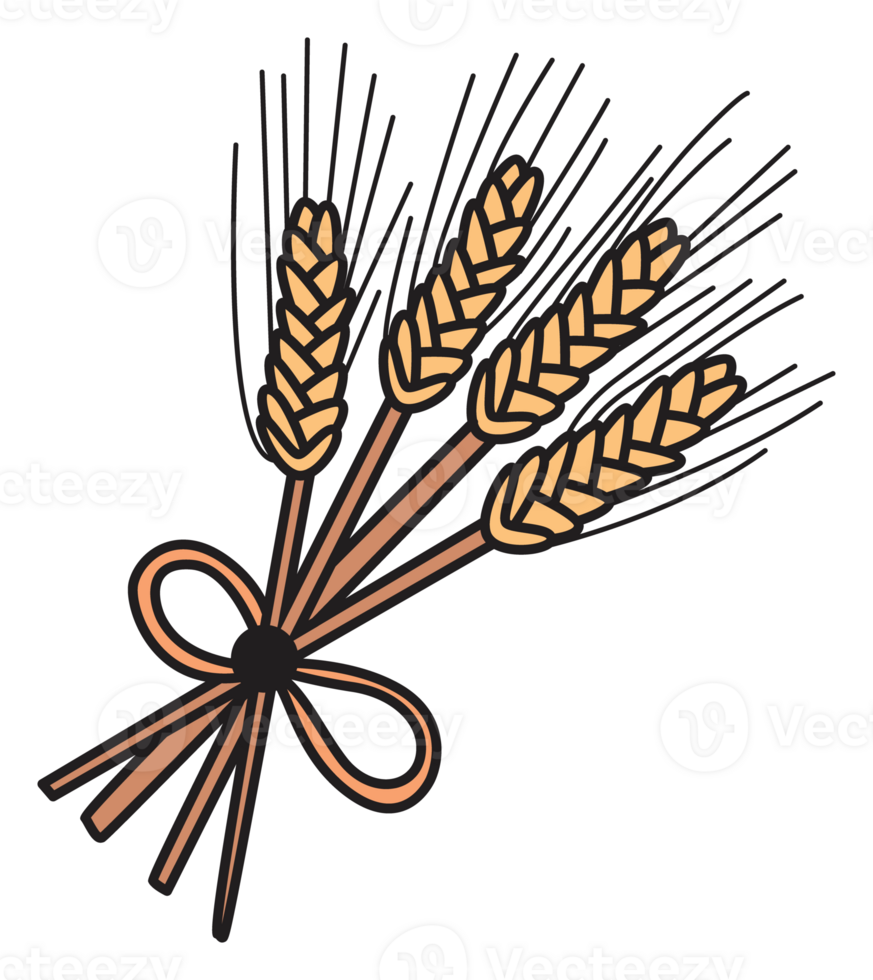 Cartoon-style bundle of golden wheat stalks tied with a ribbon. Great for rustic decor, autumn harvest themes, and seasonal farm-inspired stickers. png