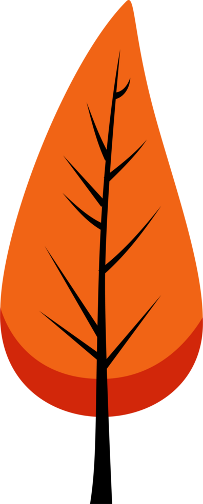 Modern bright orange autumn leaf with bold black veins and a simple shape. Perfect for seasonal decor, nature, fall, and botanical design projects. png