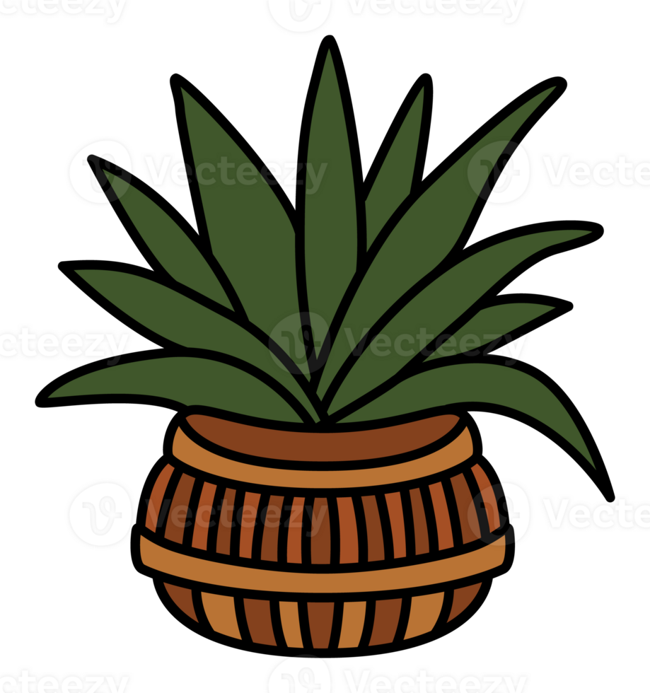 Decorative green potted plant in a wooden-style pot, perfect for boho, rustic, and home decor designs. png